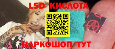 стаф Новодвинск