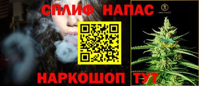 стаф Новодвинск