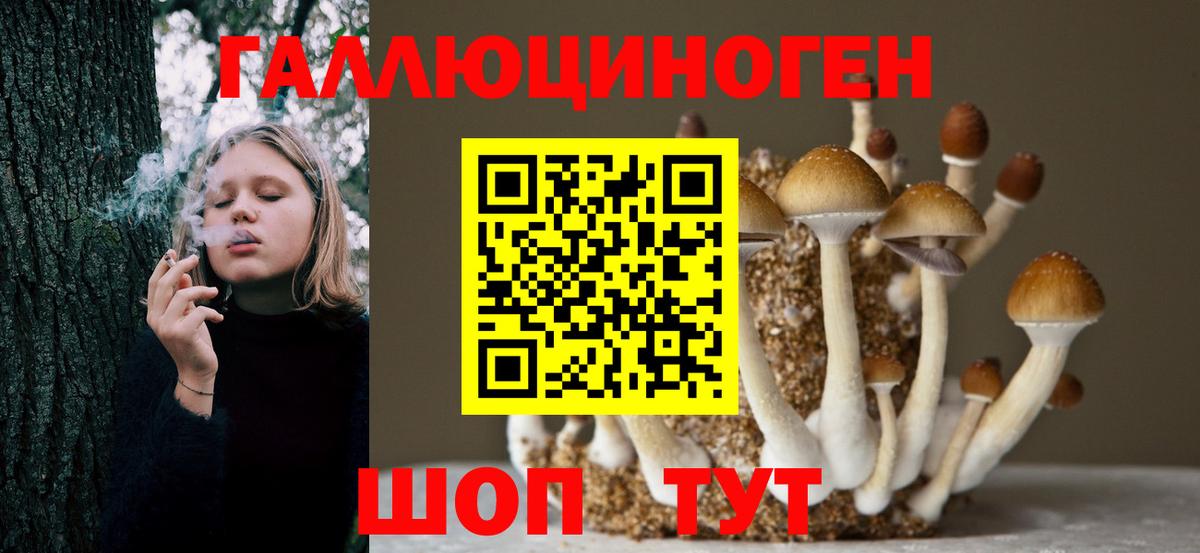 Галлюциногенные грибы Cubensis Туапсе